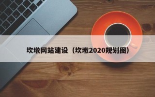 天长坎墩网站建设（坎墩2020规划图）
