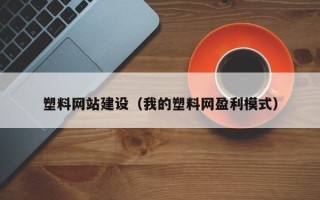 天长塑料网站建设（我的塑料网盈利模式）